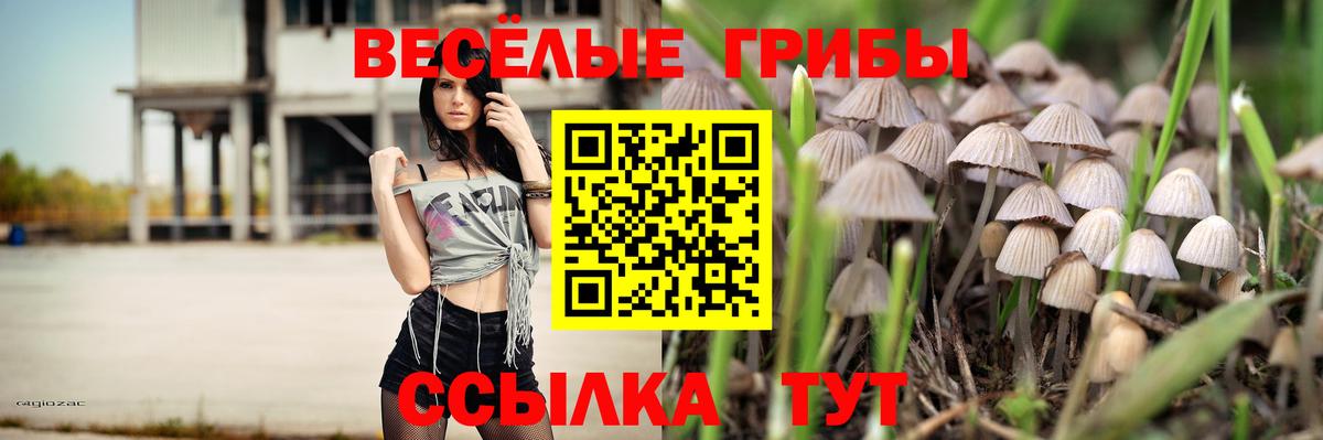 Галлюциногенные грибы ЛСД Дубна